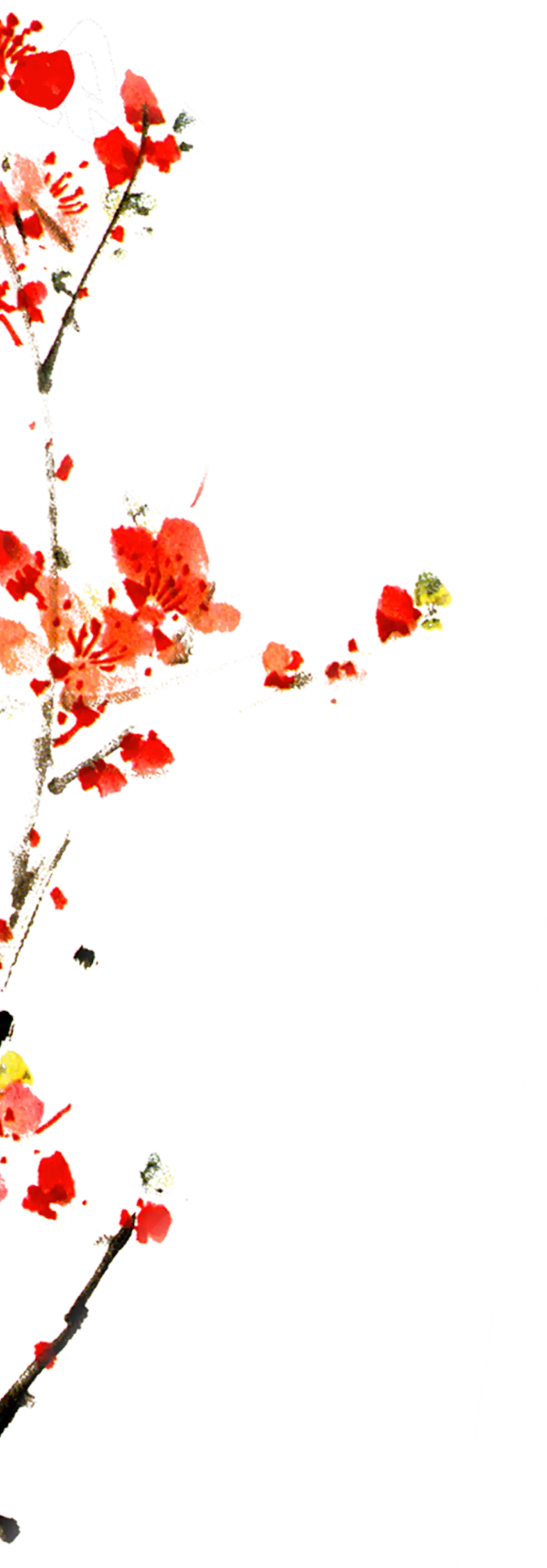 Red Blossoms on Branch