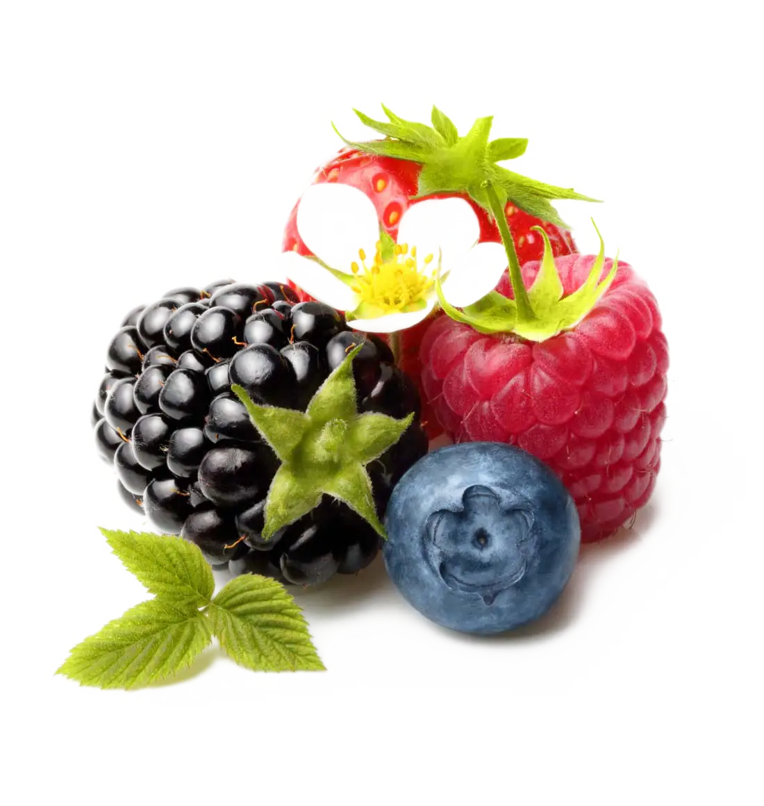 Colorful Mixed Berries