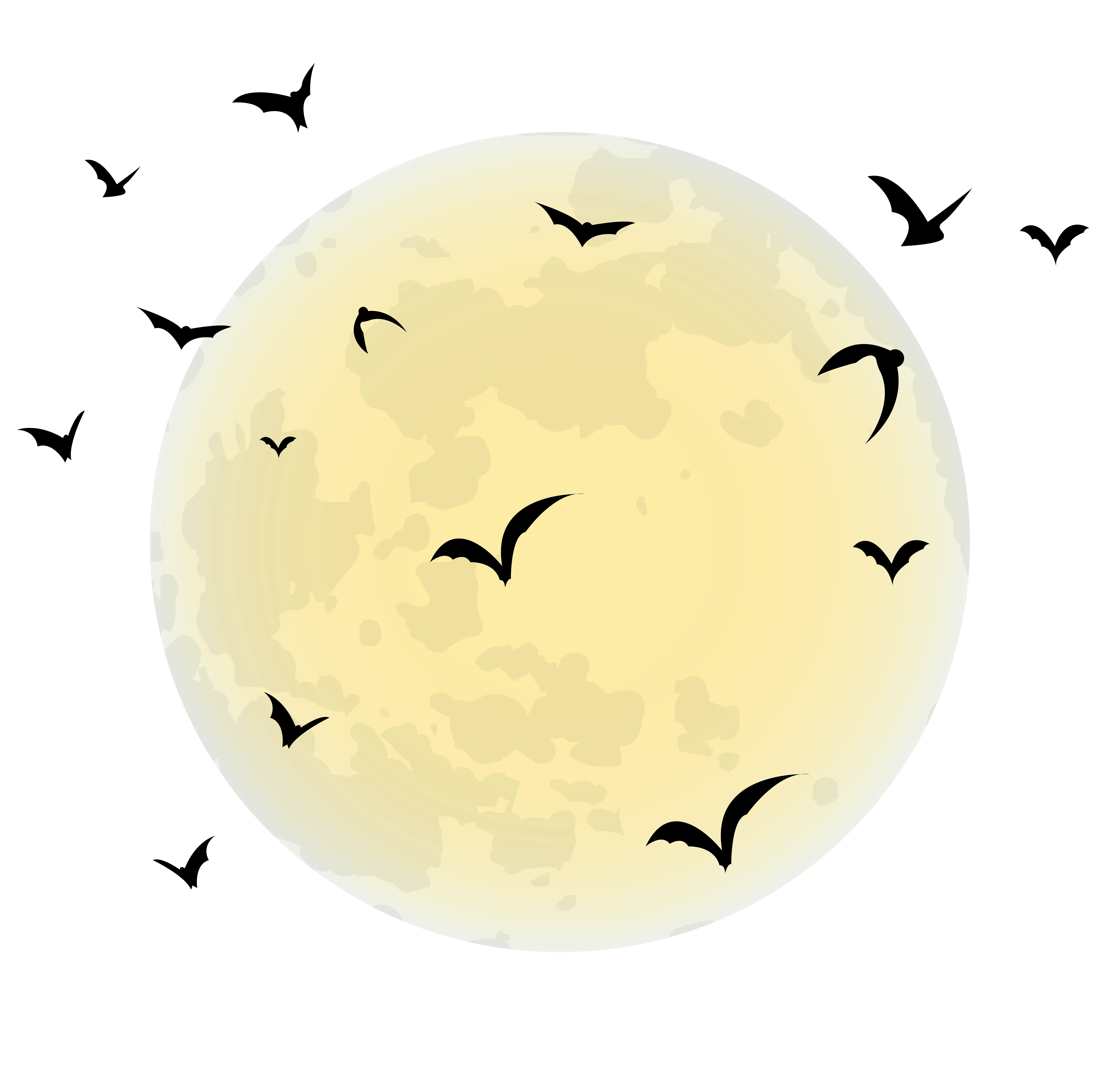 Full Moon with Flying Birds