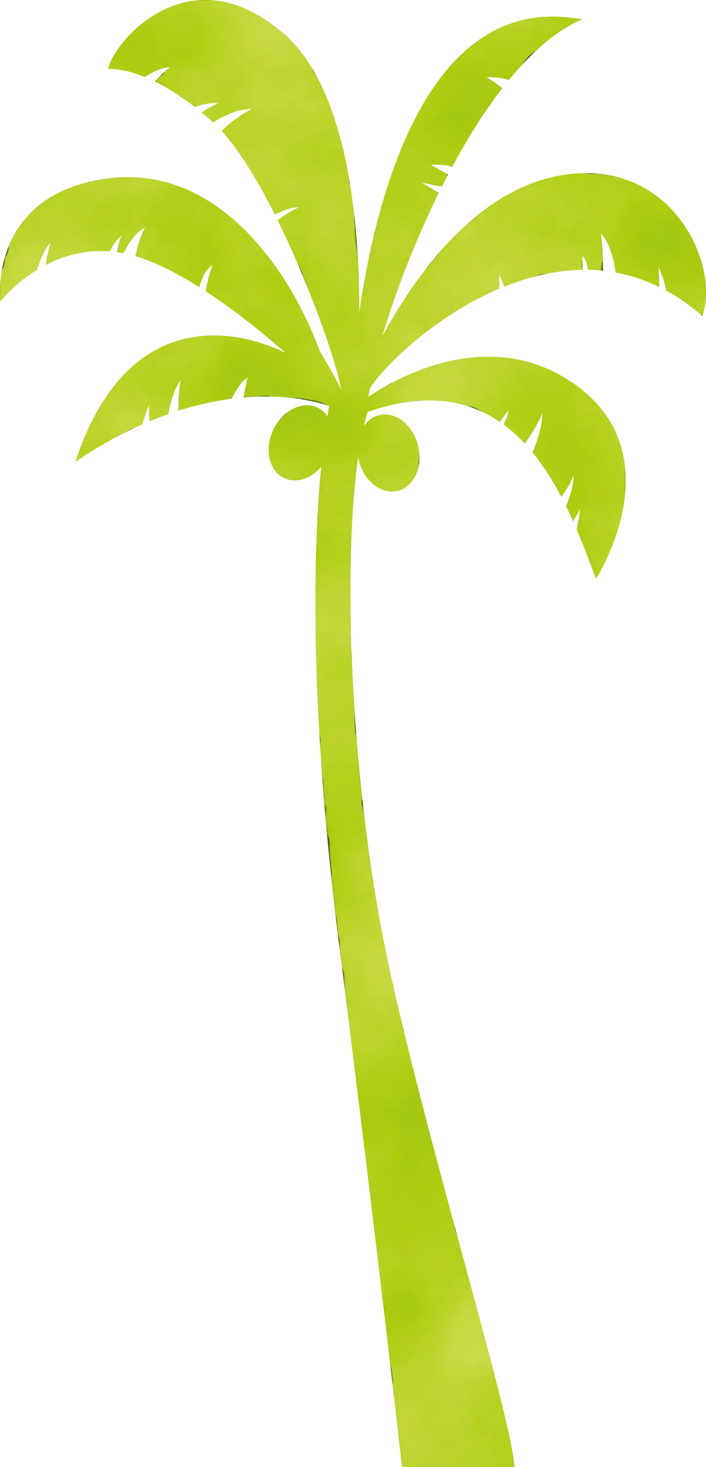 Green Palm Tree Illustration
