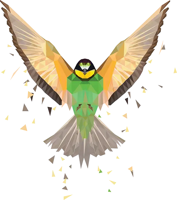 Colorful Geometric Bird in Flight