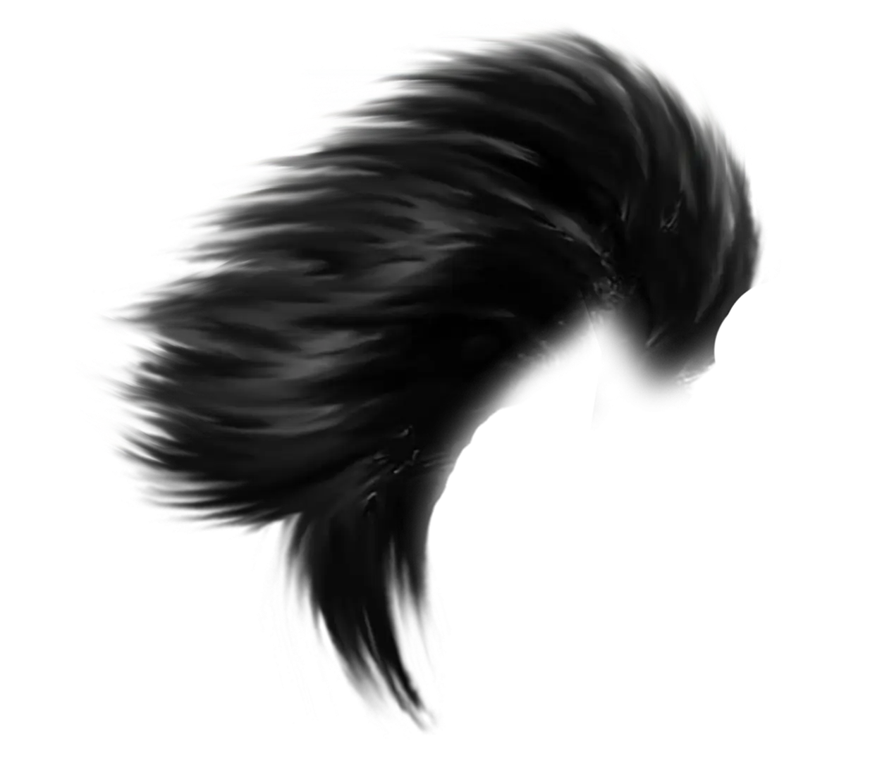 Stylish Black Hairstyle Illustration