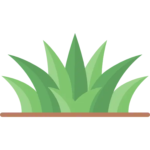 Green Grass in Cartoon Style