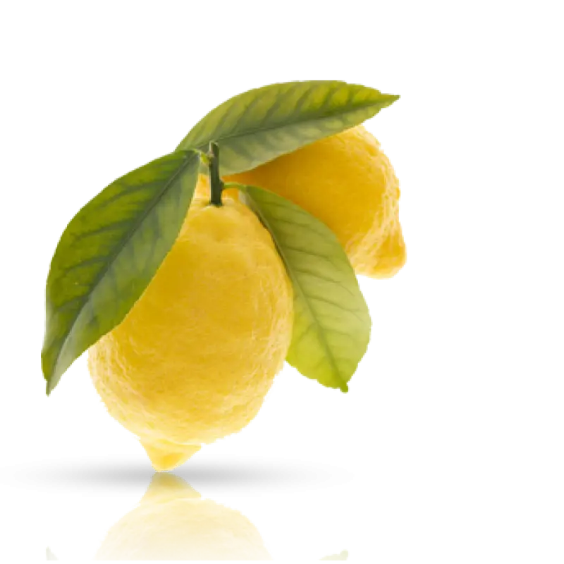 Yellow Lemons Illustration