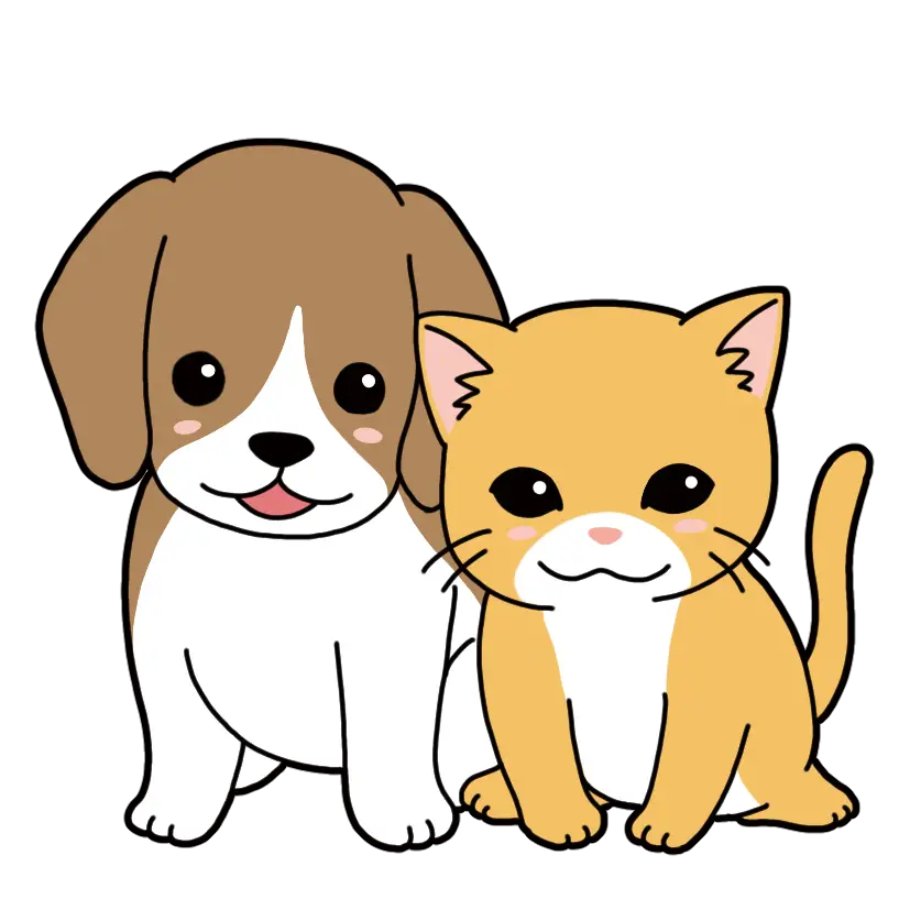 Cute Dog and Cat