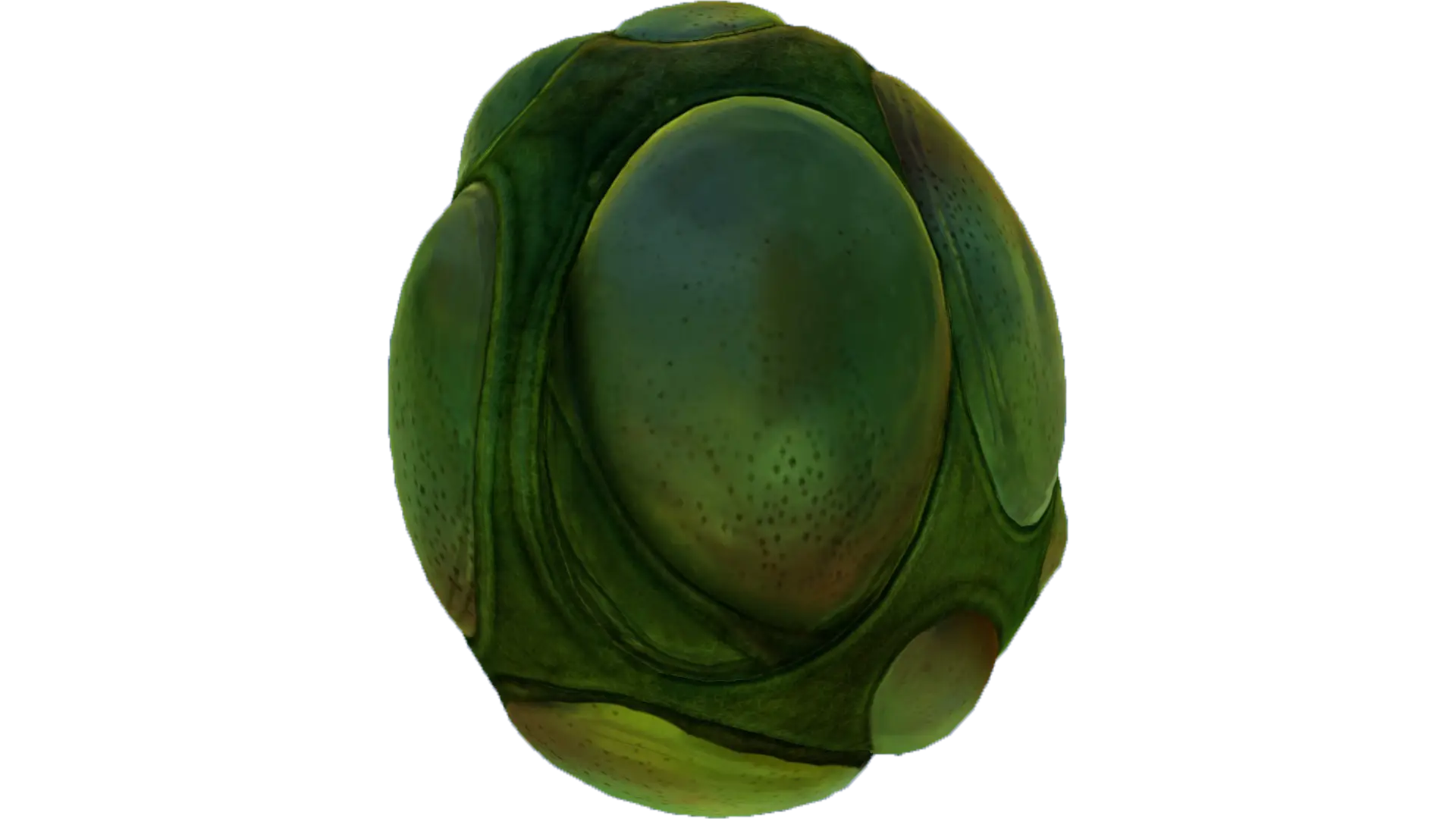 Mysterious Green Alien Egg
