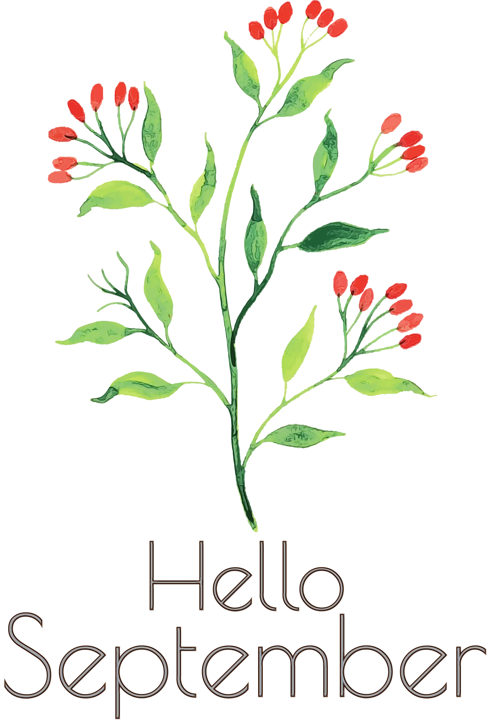 Hello September with Floral Design