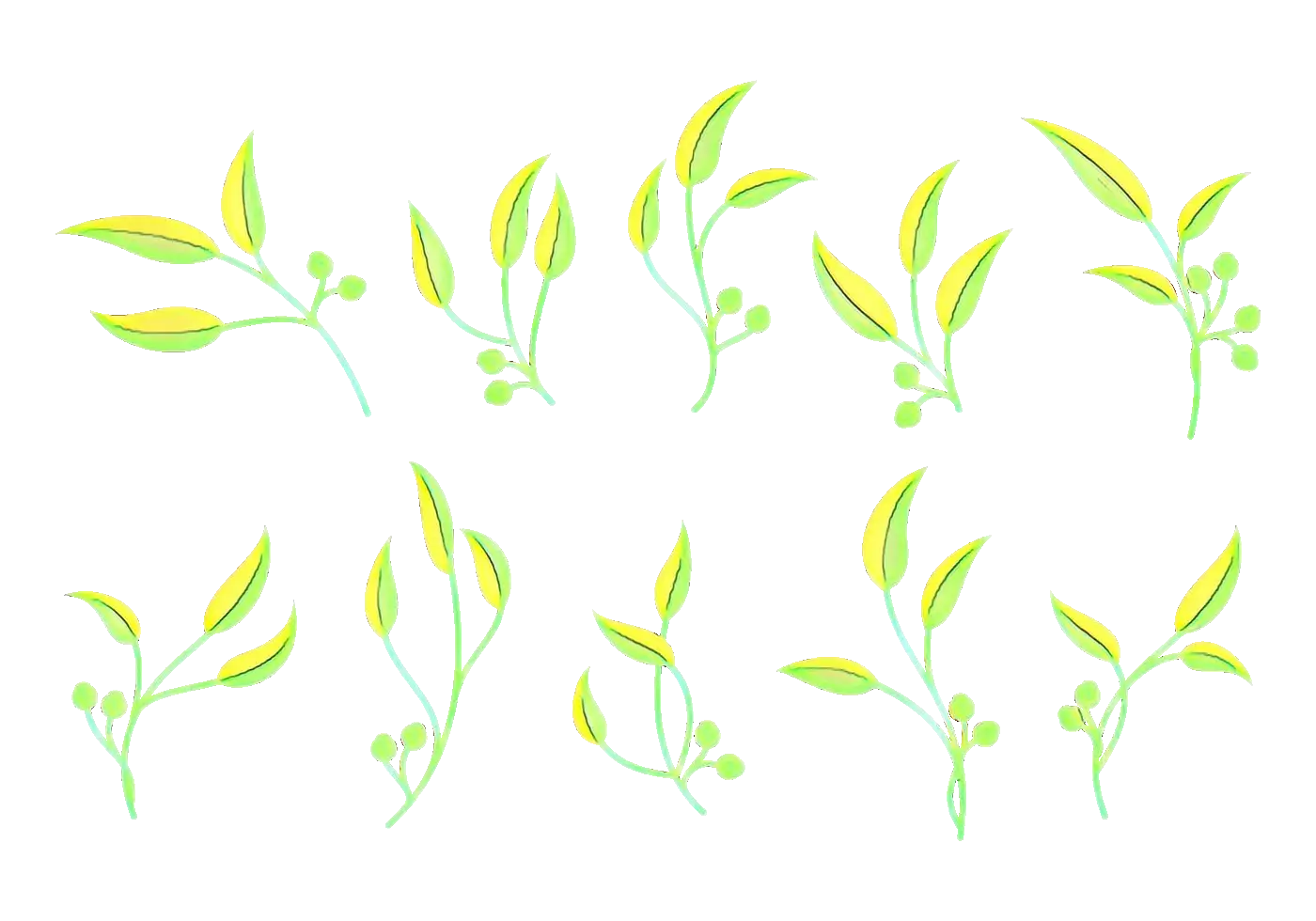 Yellow and Green Leaves for Botanical Design
