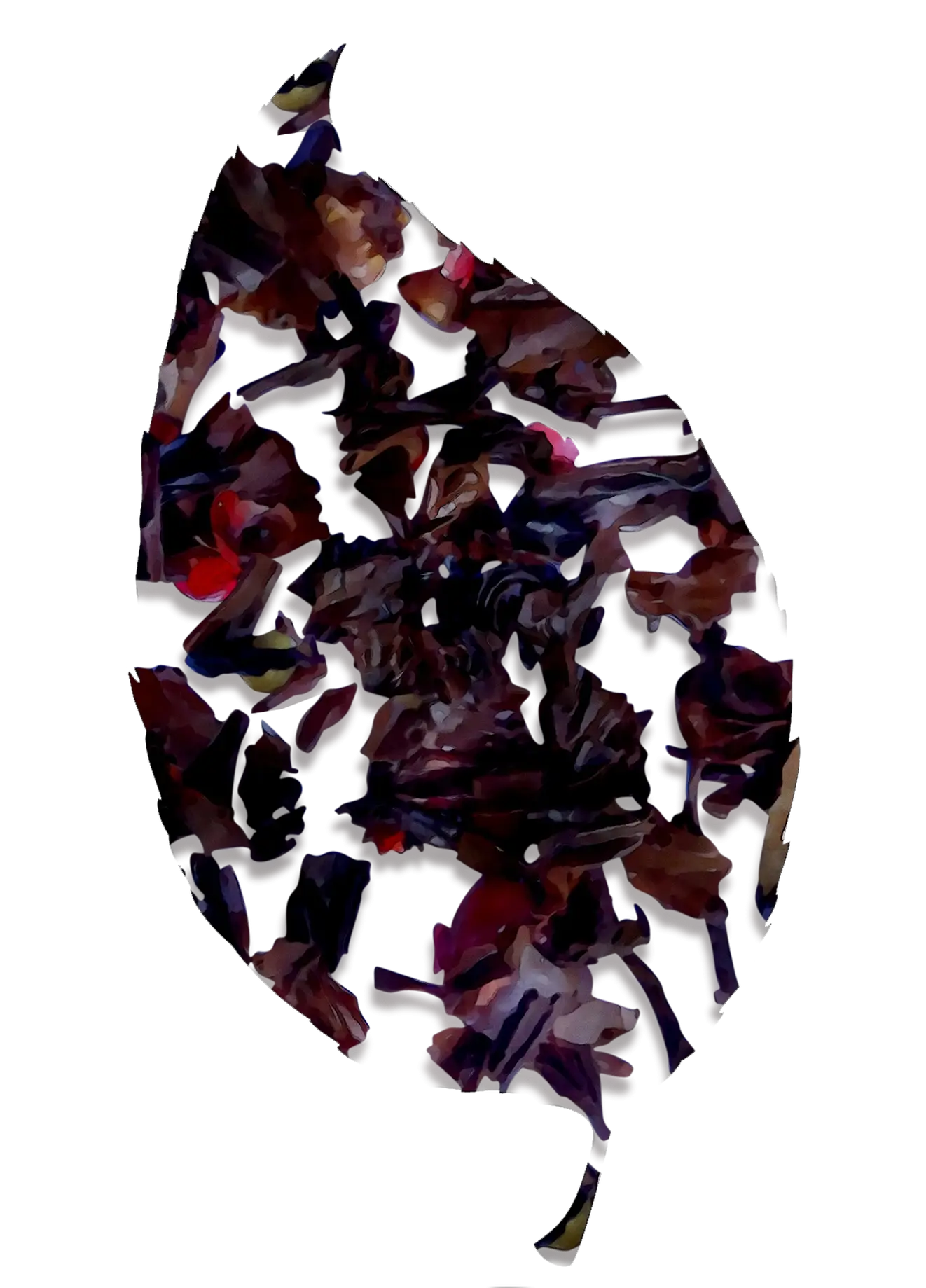 Dried Hibiscus Petals