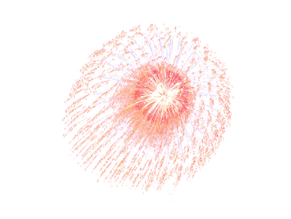 Bright Firework Explosion in the Sky