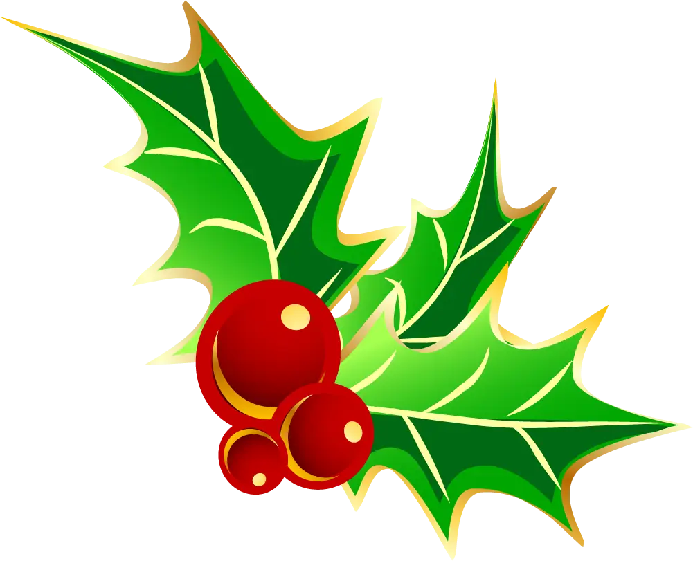 Holly Leaves and Red Berries Illustration