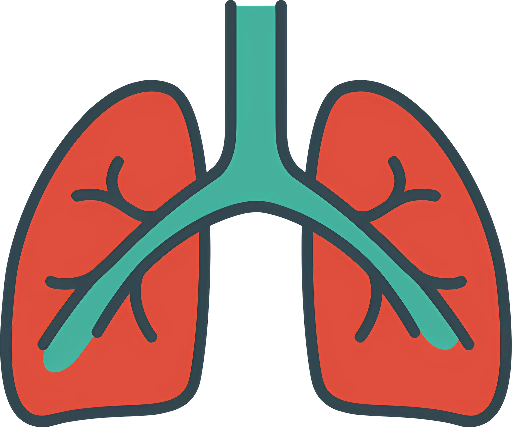 Colorful cartoon lungs illustration