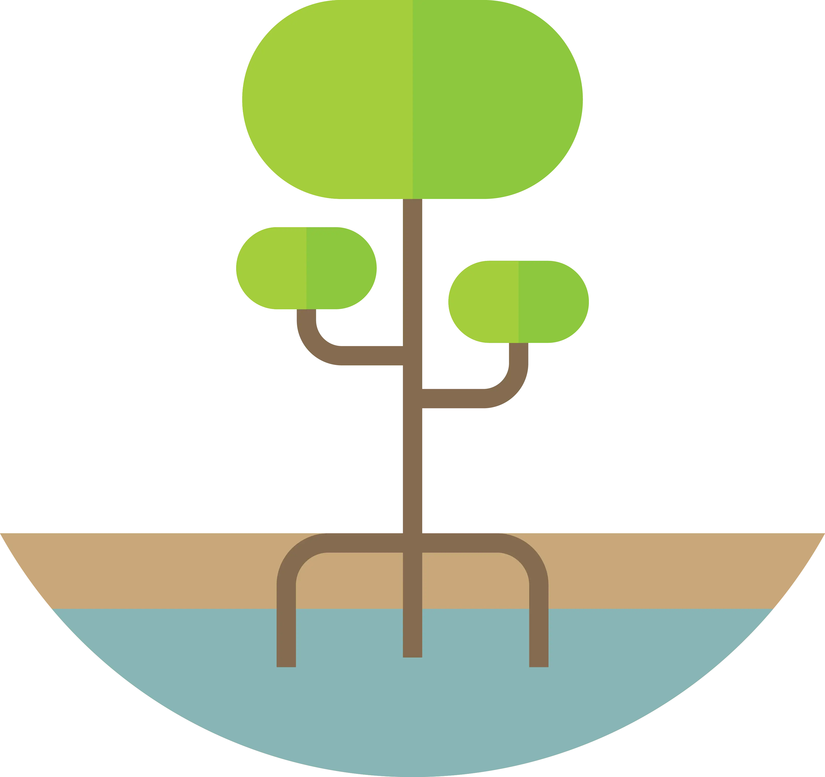Mangrove Tree in Coastal Wetlands