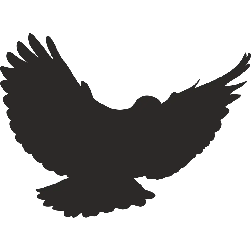Black Flying Bird Silhouette