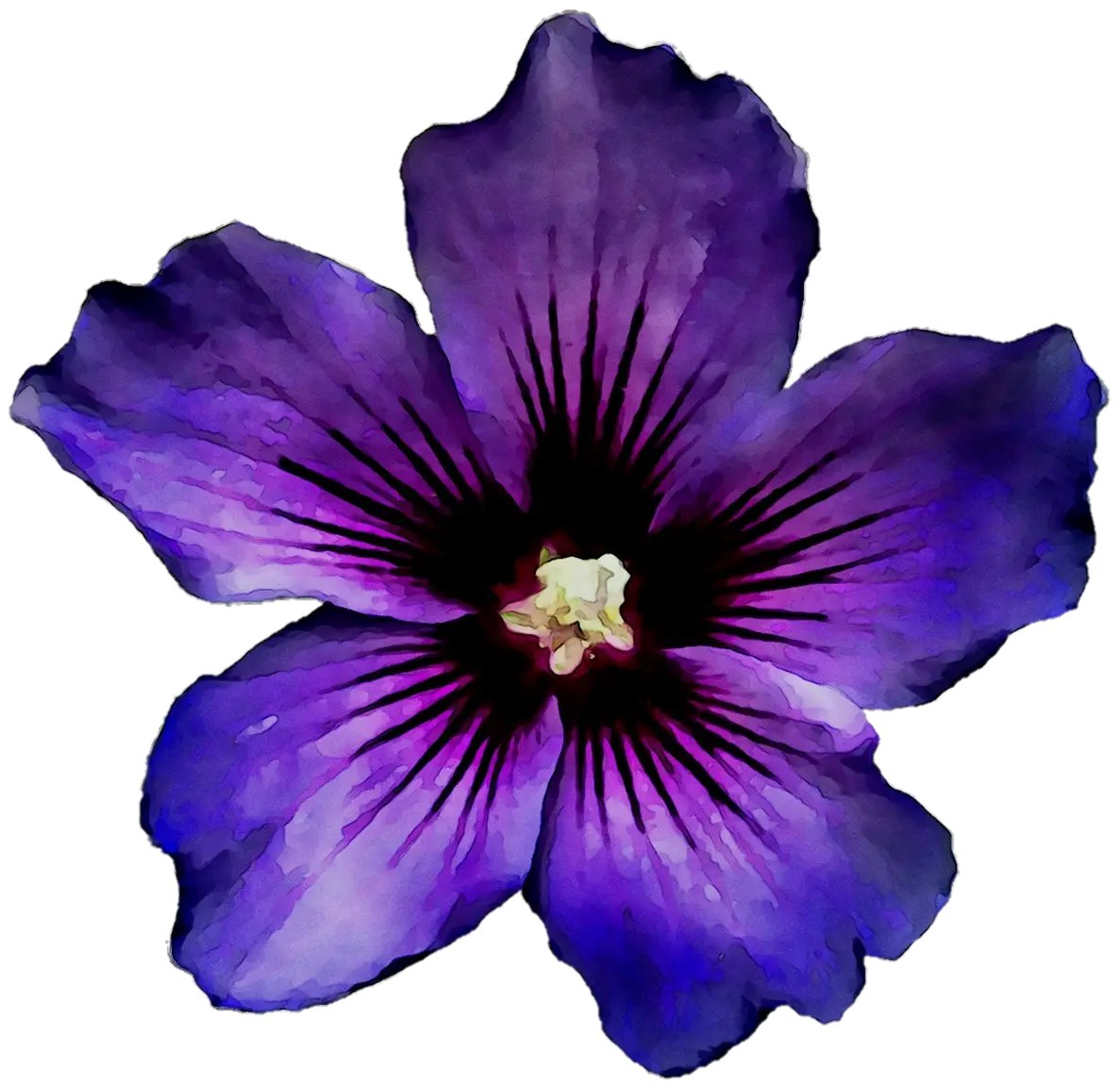 Purple Blooming Flower Illustration