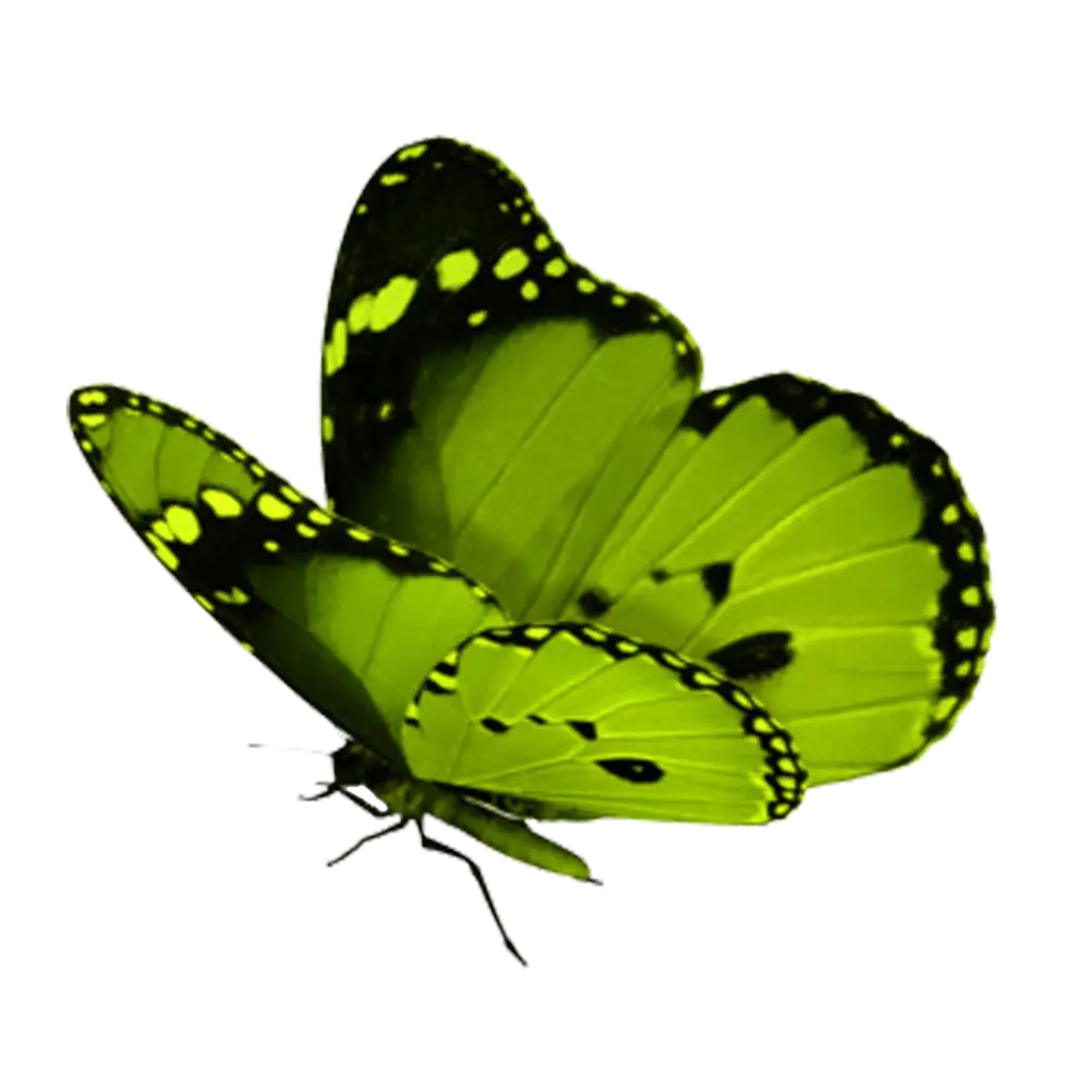 Green Butterfly with Spotted Wings