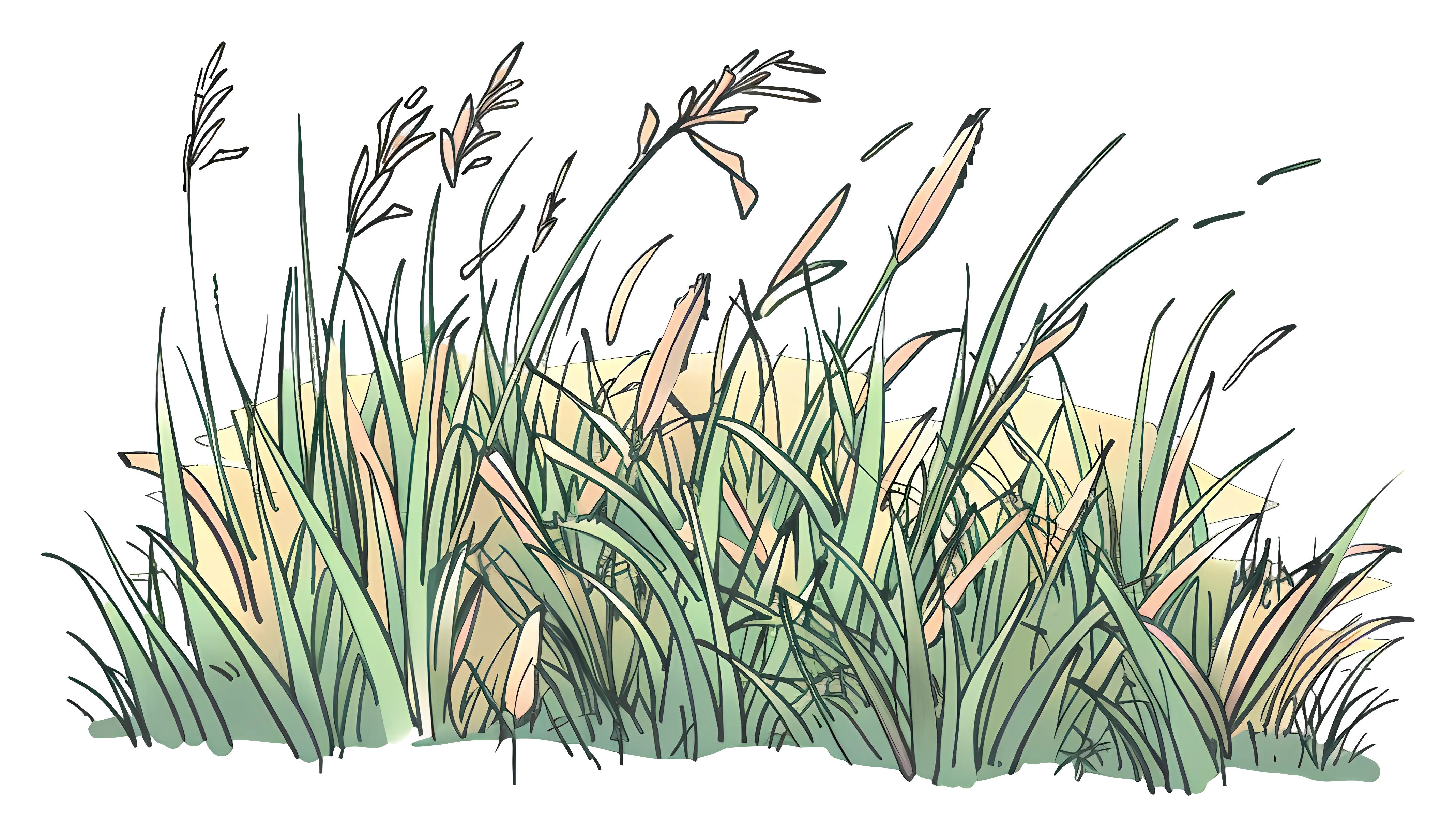 Illustration of Grassy Plants in Nature