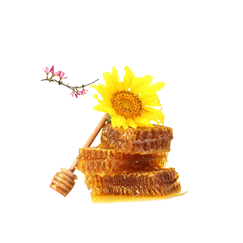 Honeycomb with Sunflower