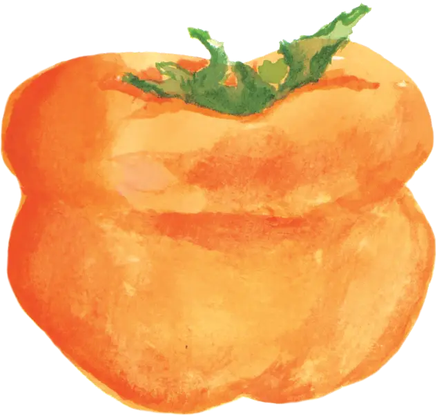 Orange Tomato Watercolor Painting