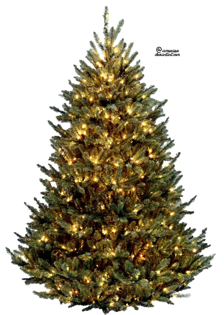 Decorated Christmas Tree with Lights