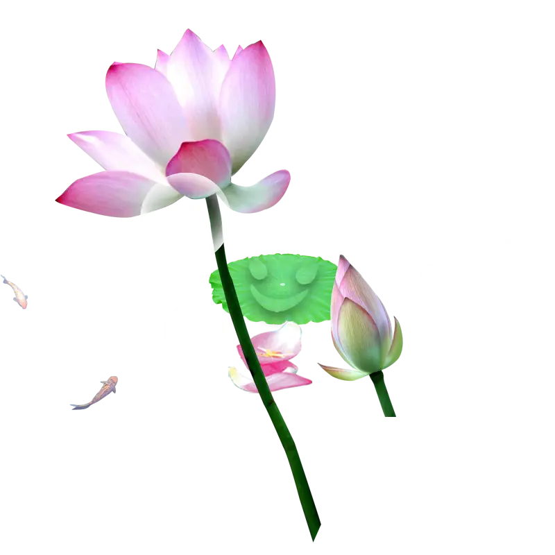 Pink Lotus Flower Illustration