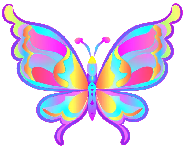 Vivid Cartoon Butterfly with Bright Colors