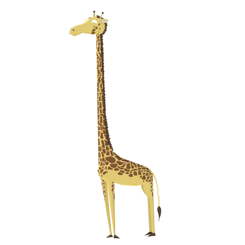 Tall Cartoon Giraffe Design
