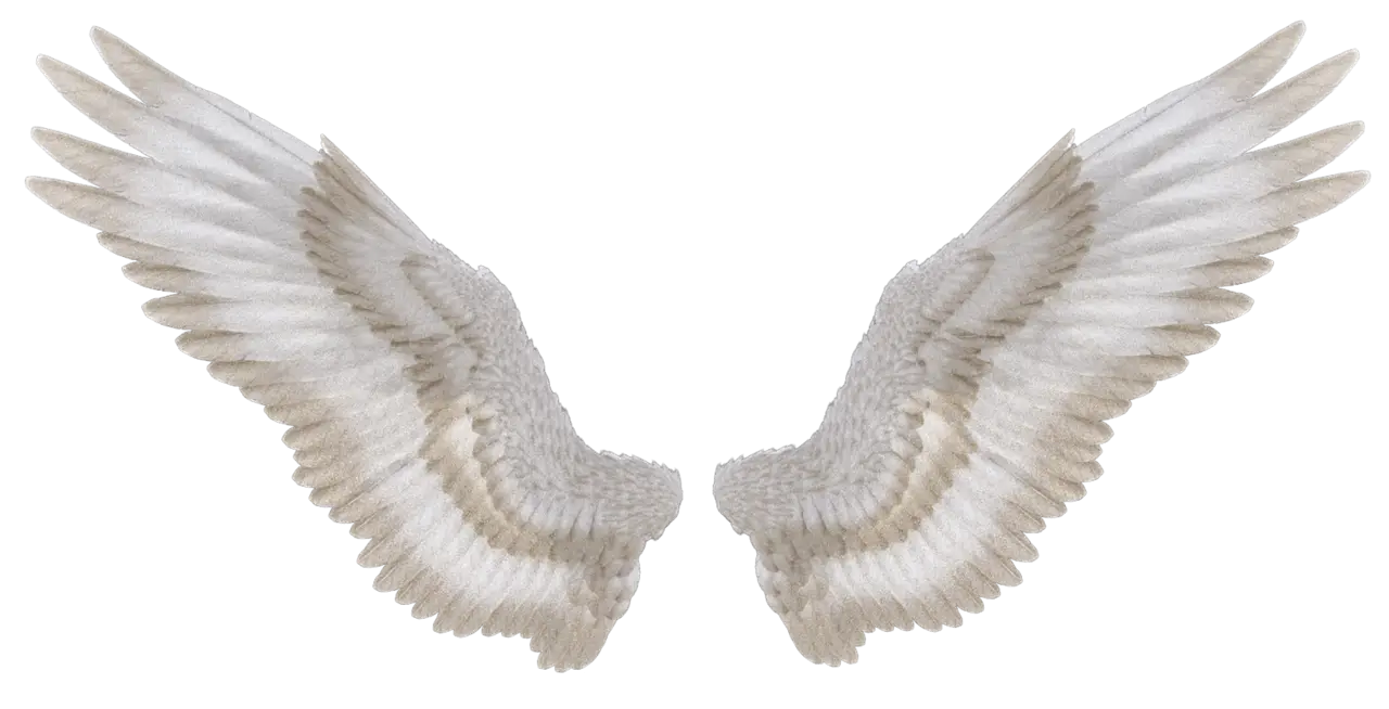 Pair of White Angel Wings