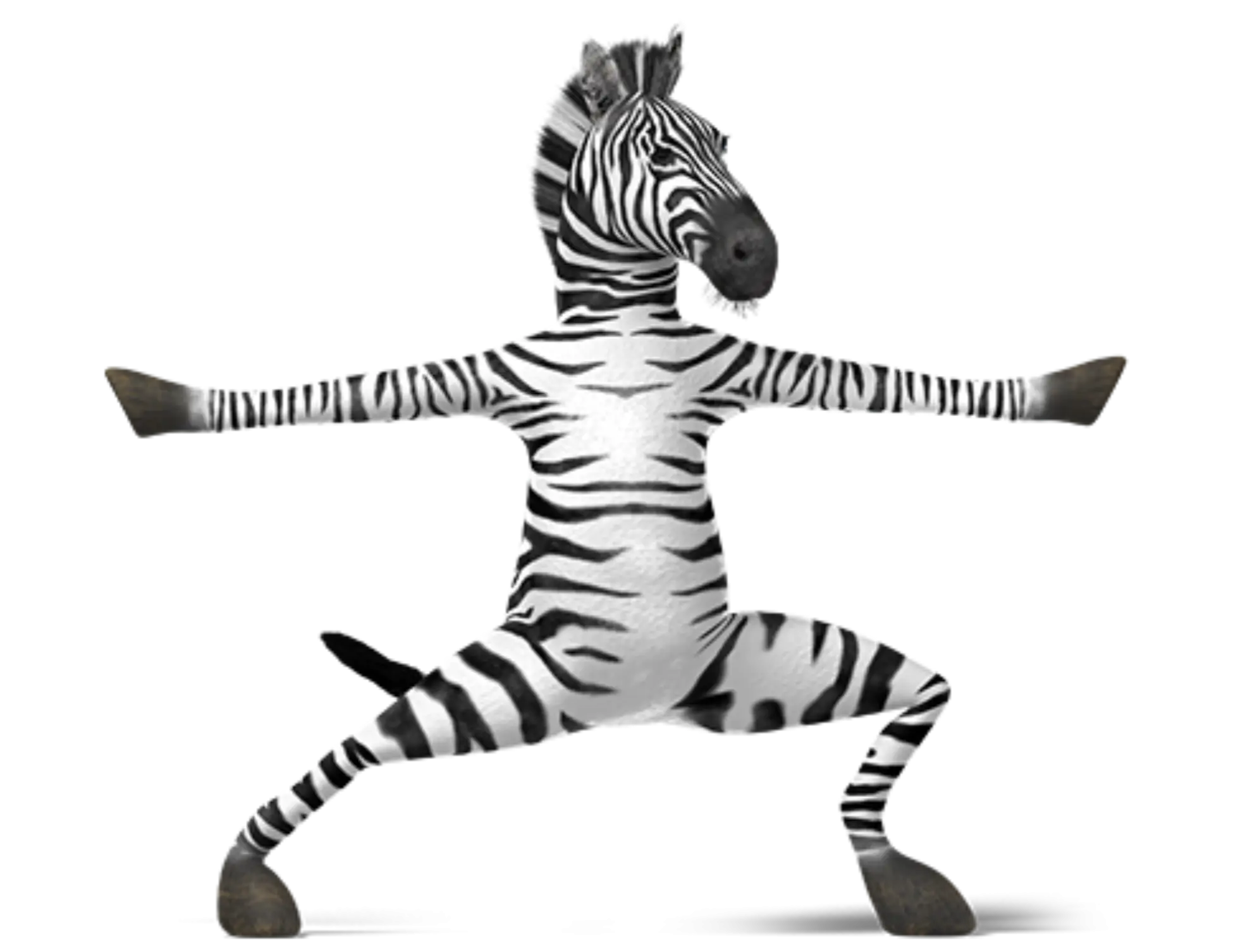Yoga Zebra Cartoon Illustration